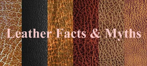 Myths & Facts about Leather